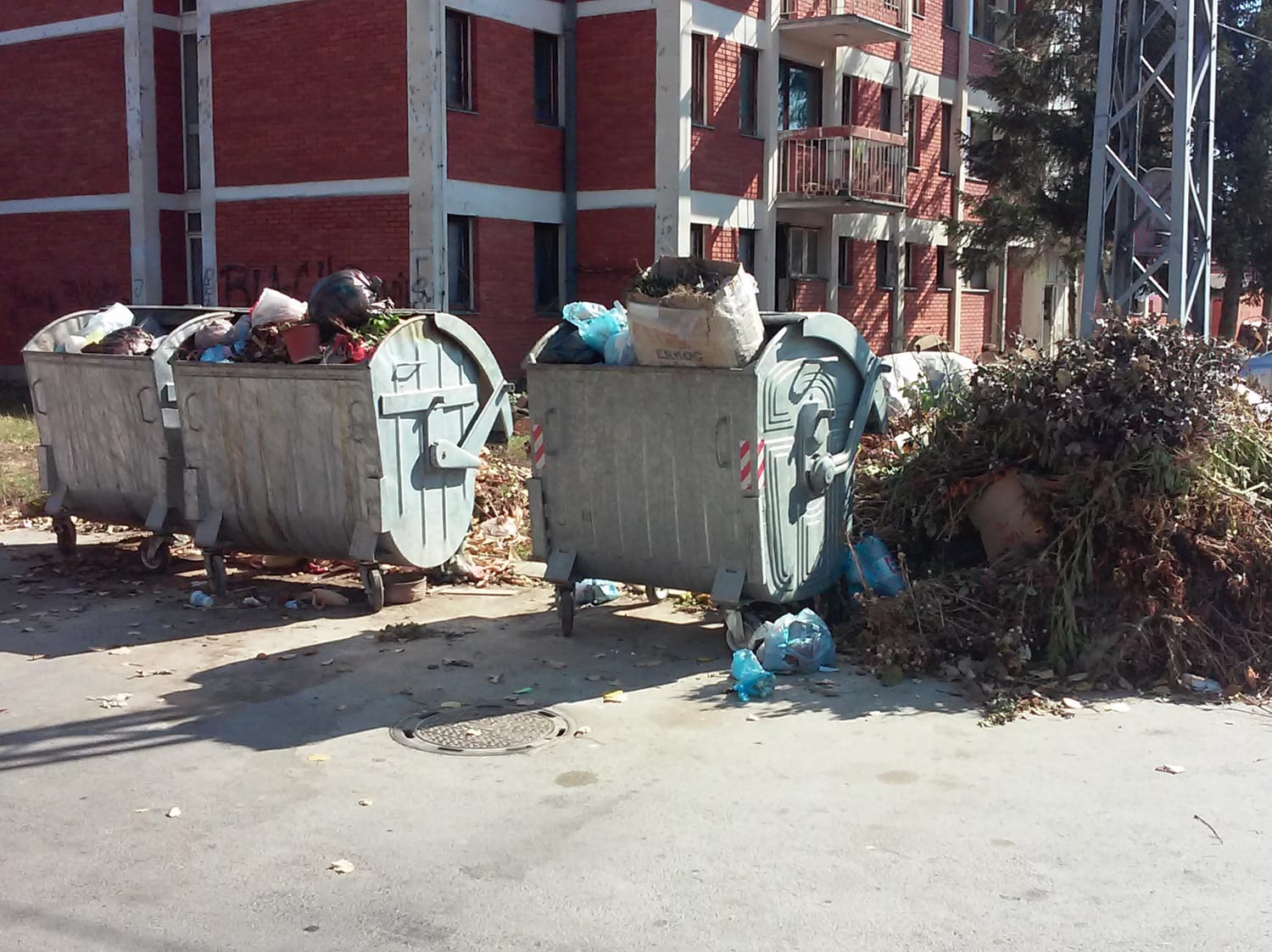 Prepuni kontejneri i divlje deponije širom Babušnice 1 deponija foto Lj F