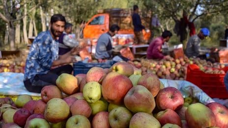 Ishrana i klimatske promene: Fleksibilna dijeta može da pomogne svetu 6 103801824 gettyimages 1048598192