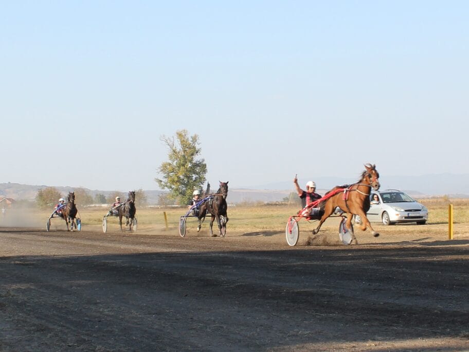 Konjicke trke Leskovac 3 oktobar 2018 foto Bojana Antic