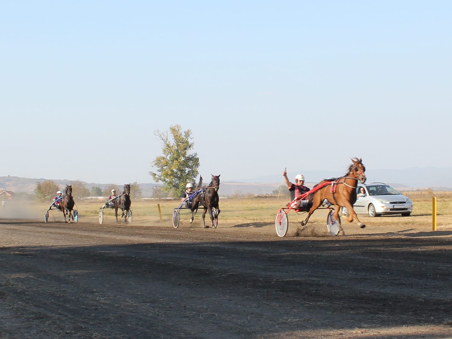 Konjicke trke Leskovac 3 oktobar 2018 foto Bojana Antic