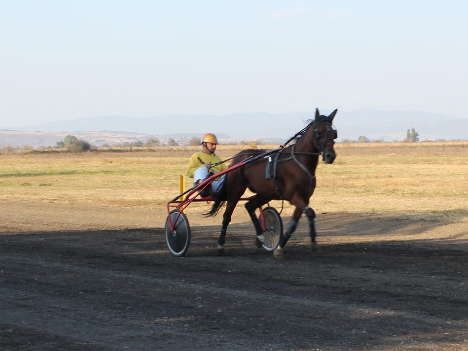 Konjicke trke Leskovac 4 oktobar 2018 foto Bojana Antic