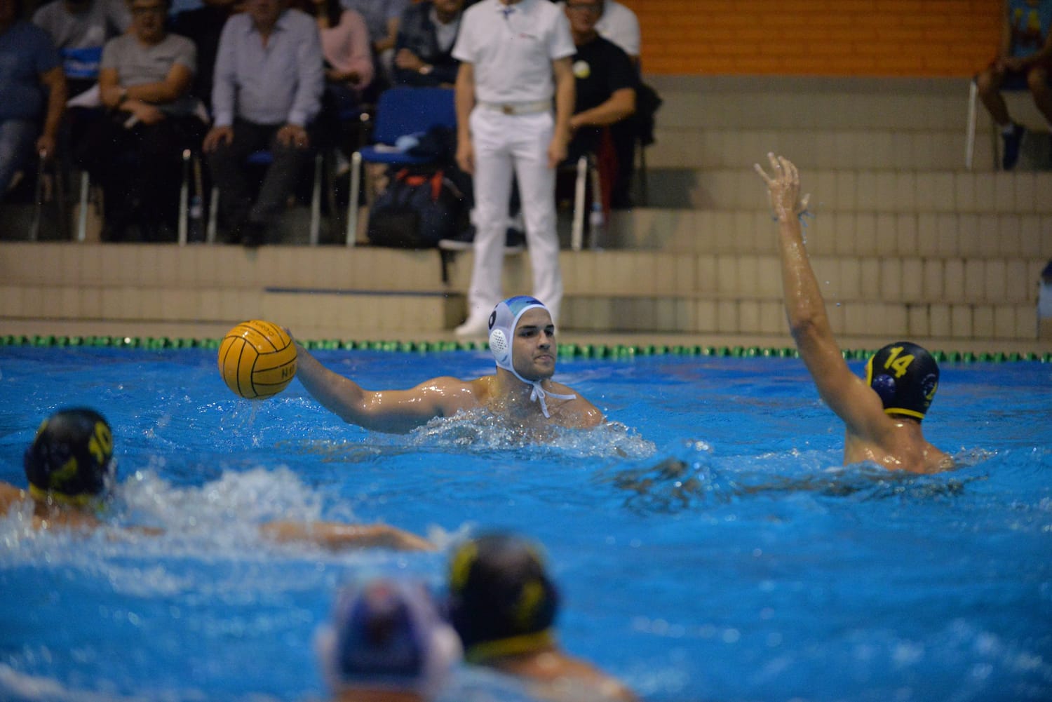 Milosevic Nais Zadar foto Vanja Keser