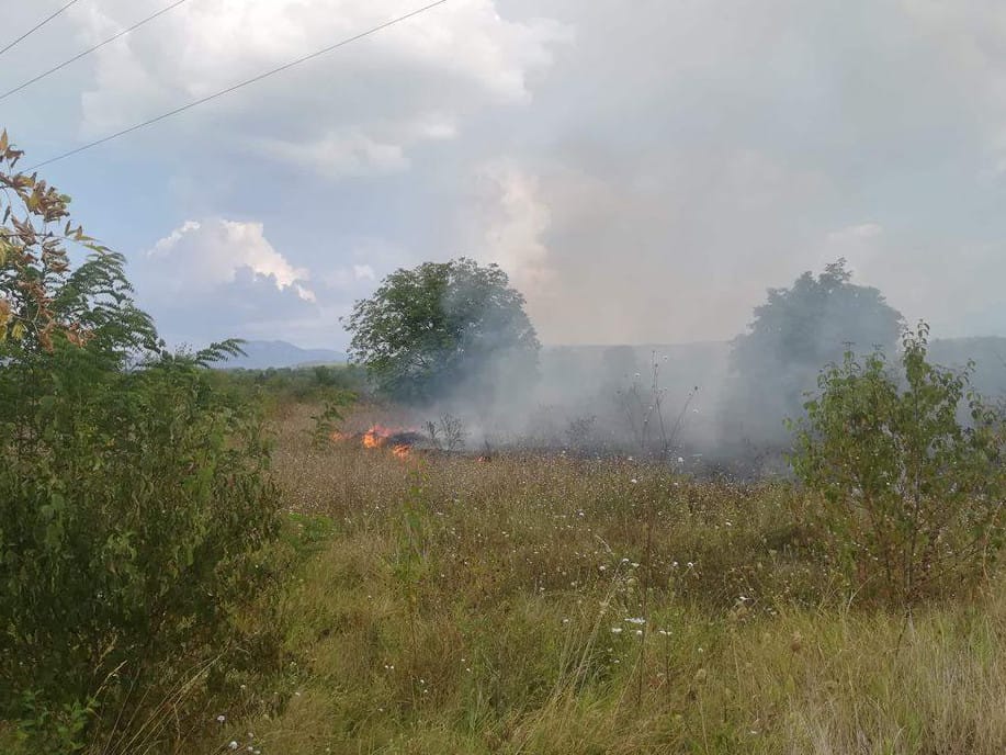 7 puta više požara na otvorenom u Nišu u odnosu na oktobar prošle godine 1 Vatra rastinje foto M J