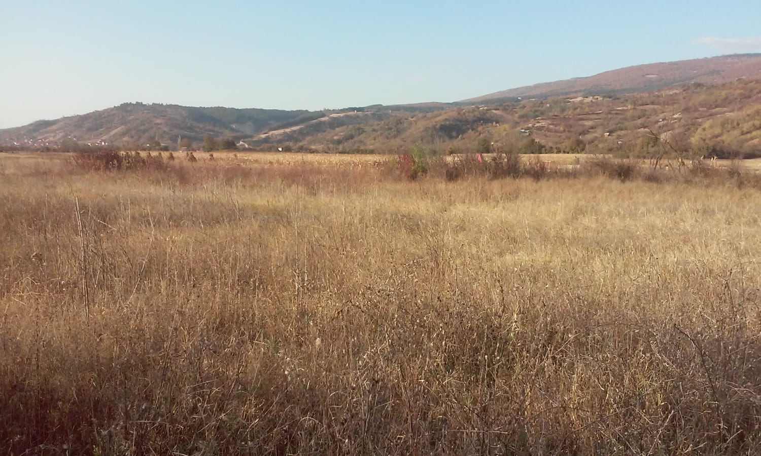 neobradjena njiva foto Lj F