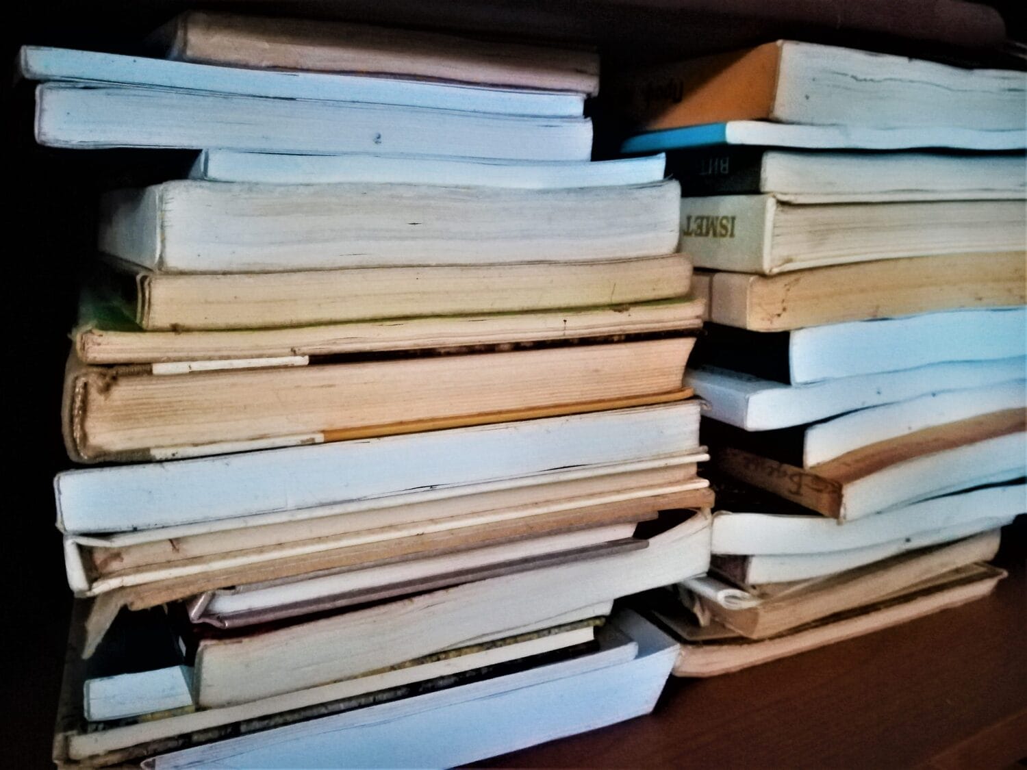 knjige foto aleksandar kostic scaled