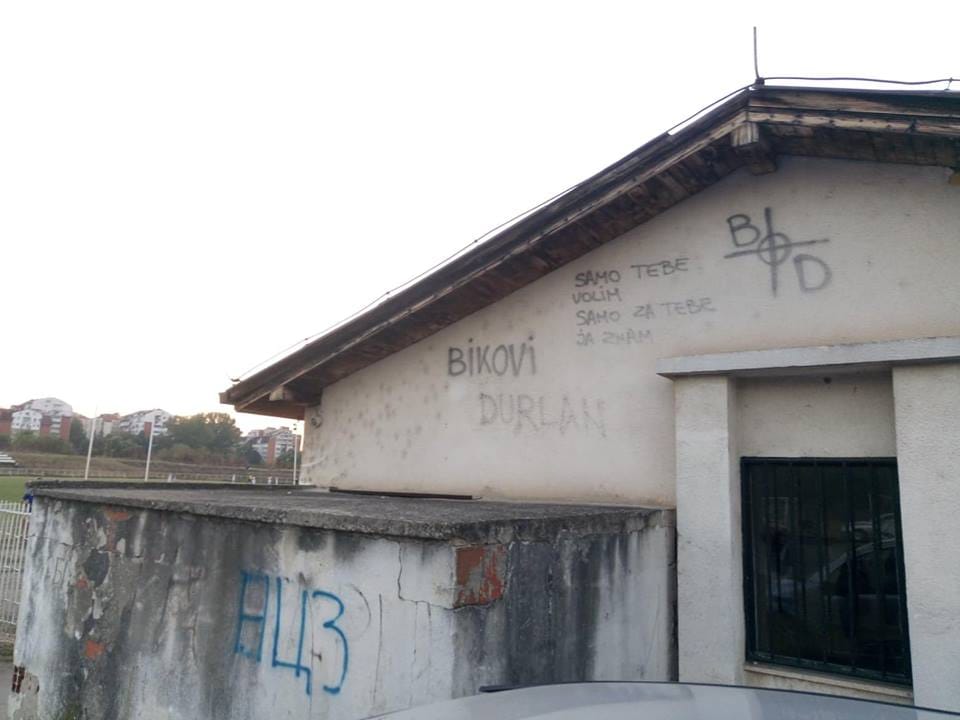 Sindjelic Bikovi Foto V Milic