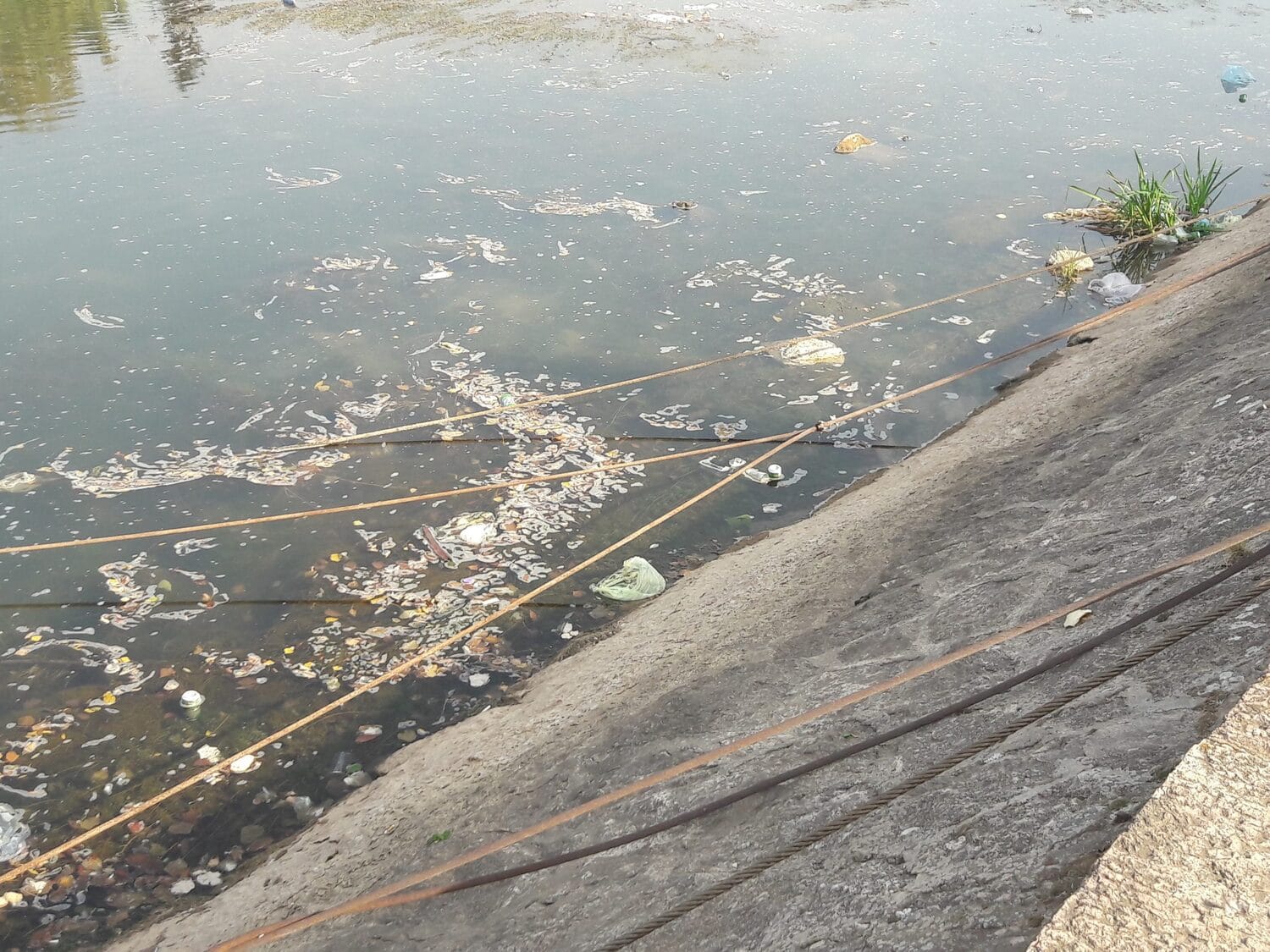 Nisava smece foto M M scaled