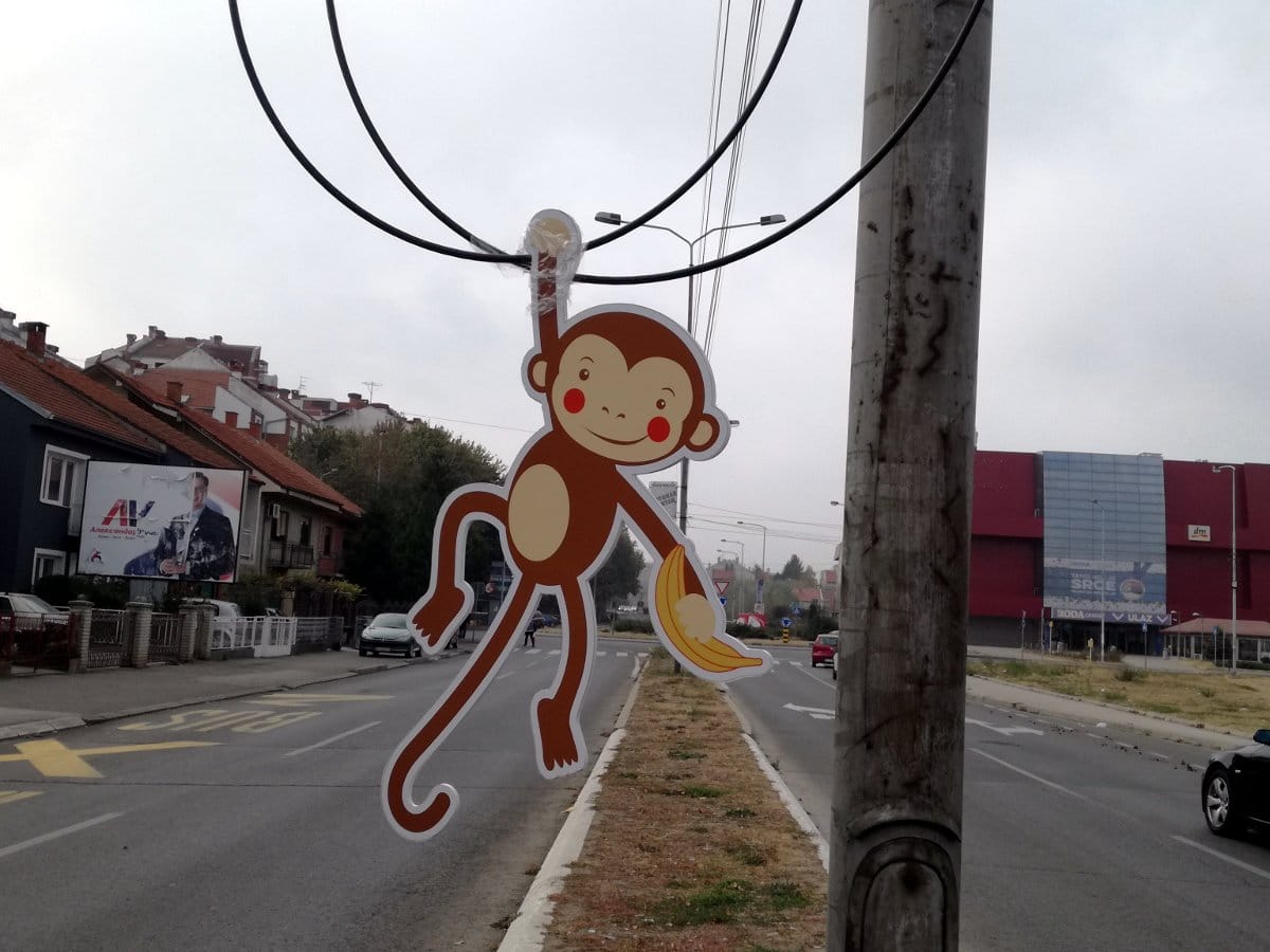 Majmun visi sa bandere foto K I