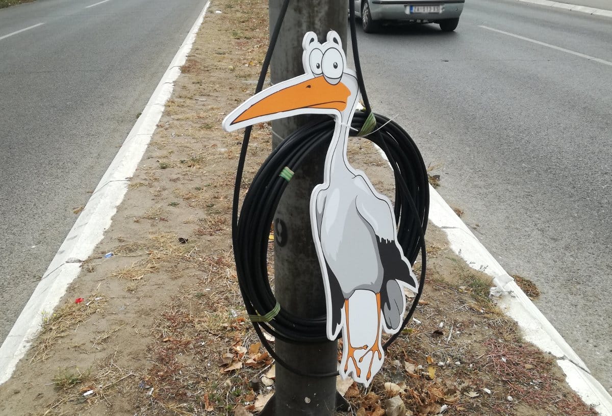 Roda u snopu kablova foto K I