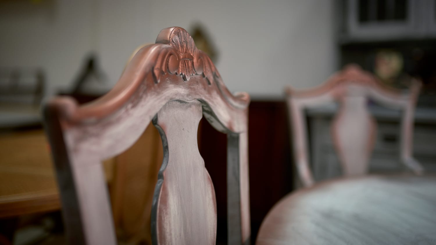 ranic-namestaj-foto-sdjakovic919