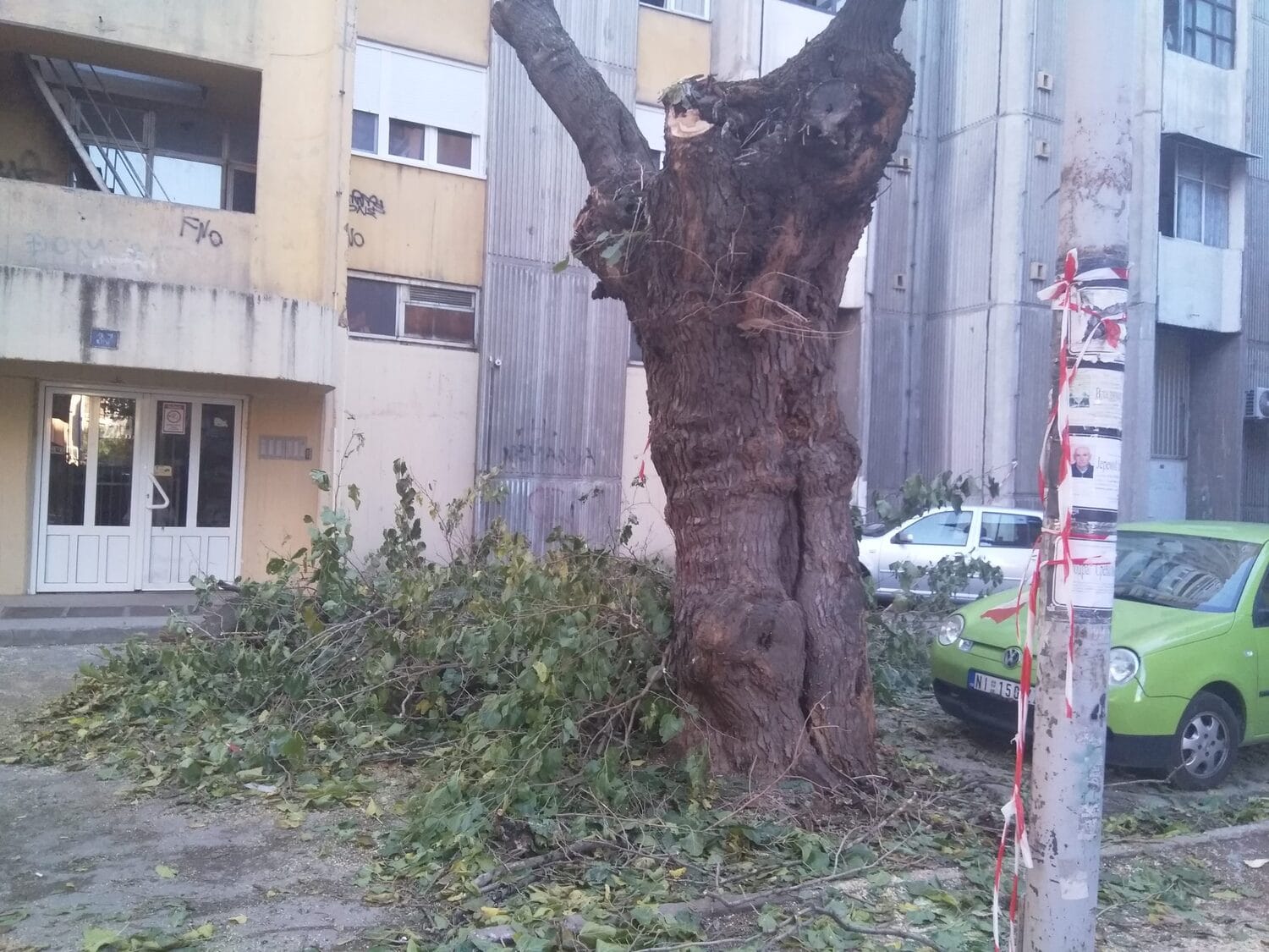 Stabla isecena Prijavi problem scaled