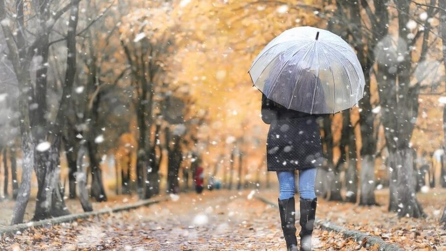 104039596 gettyimages 898870094