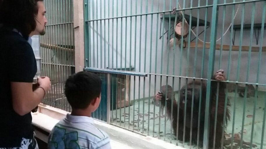 Družimo se i učimo zajedno: Za nastavak projekta nema sredstava 6 104012562 2