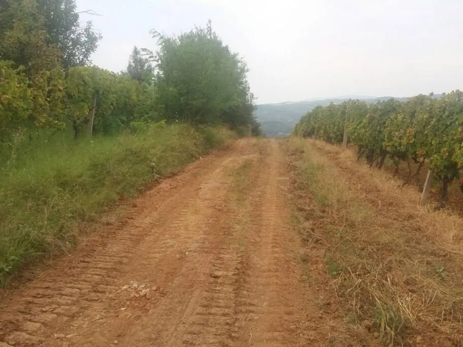 Atarski putevi Vlasotince oktobar 2018 foto Agencija Publika