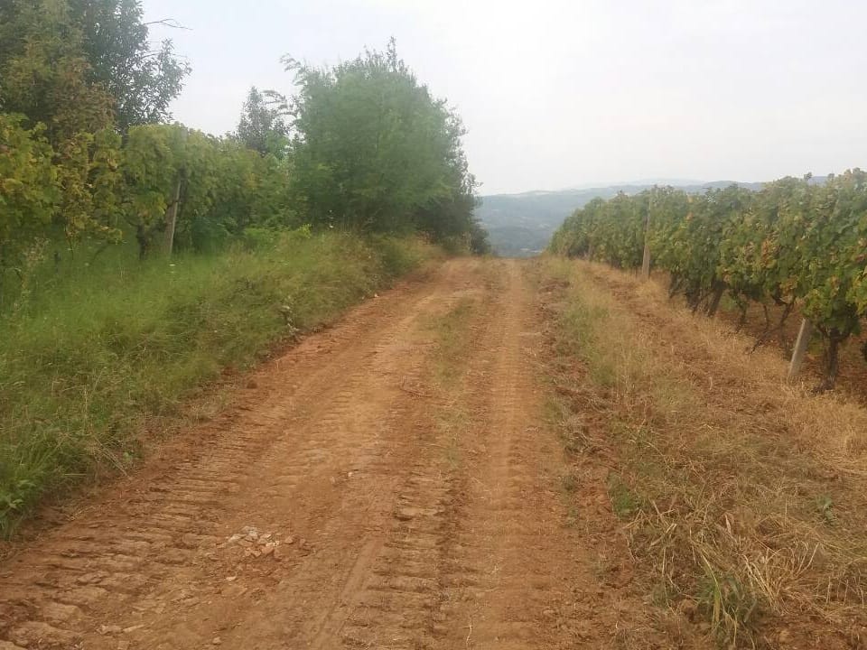 Atarski putevi Vlasotince oktobar 2018 foto Agencija Publika