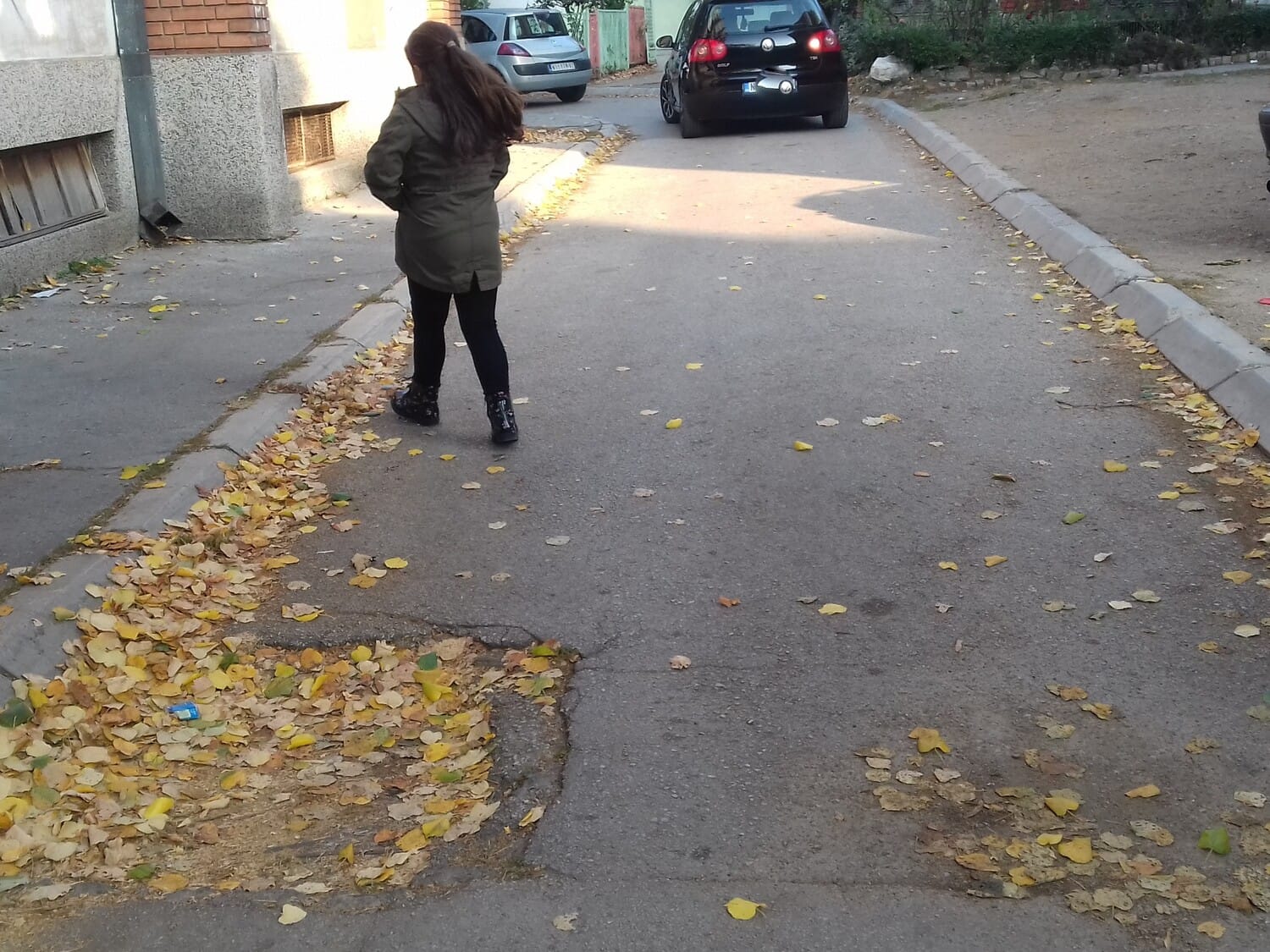 Rupe-Salvadora-i-Dimitrovgradska-Prijavi-problem