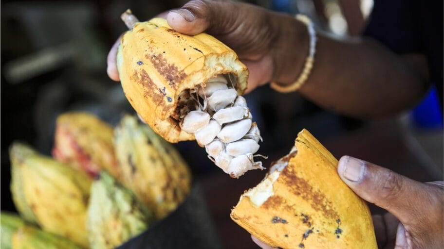 104090232 gettyimages 497710960