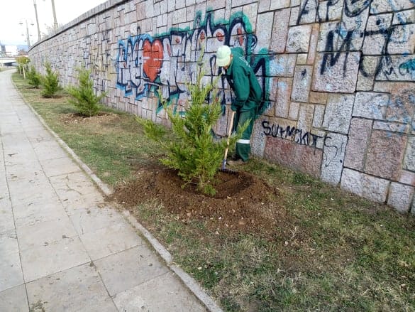 Jelke-radnik-Mediane-V.-Milić