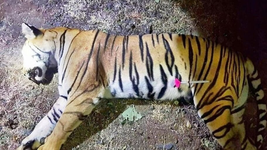 104223932 mediaitem104173969