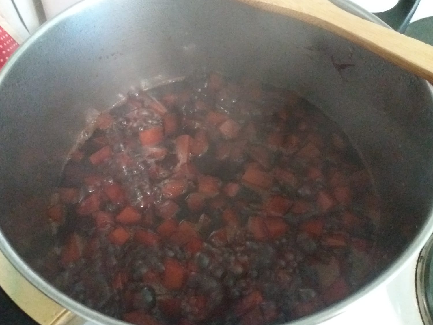 Recelj 4 novembar 2018 foto Bojana Antic