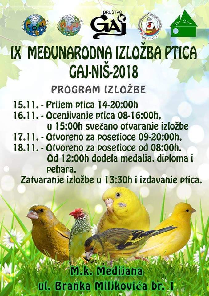 46482980 531058804027876 4424650333104373760 n