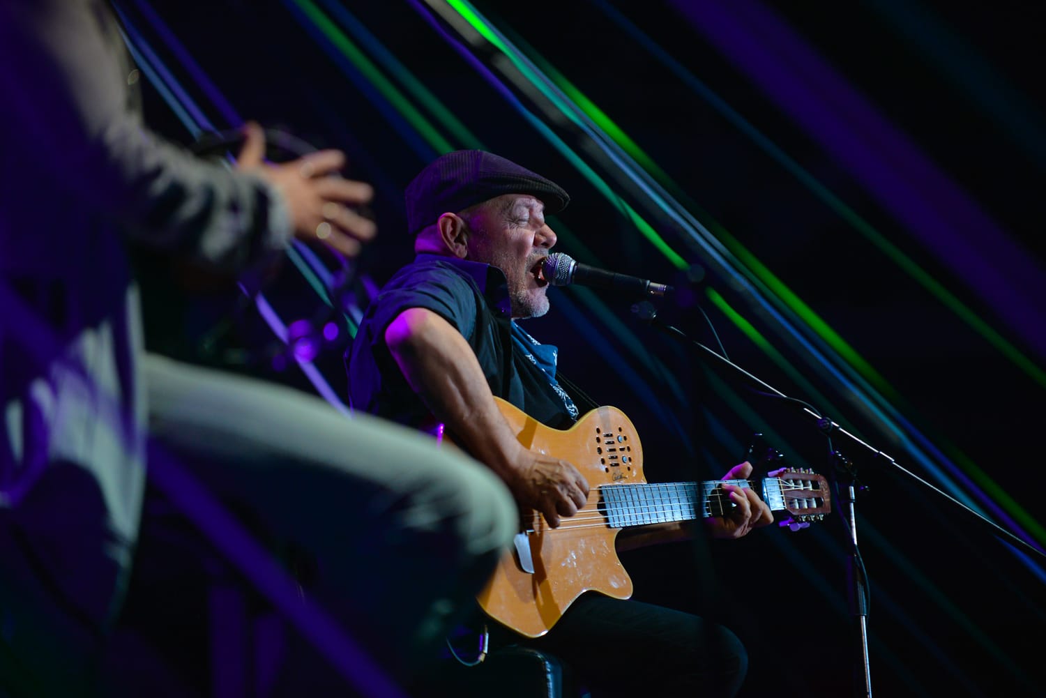 nesa galija foto vanja keseer