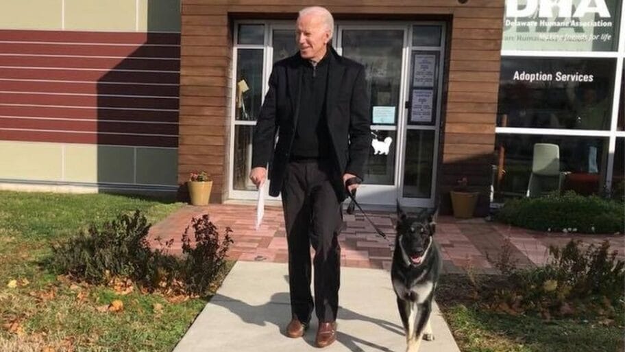 Političari i kućni ljubimci: Ko koga više voli 18 104390717 mediaitem104390572