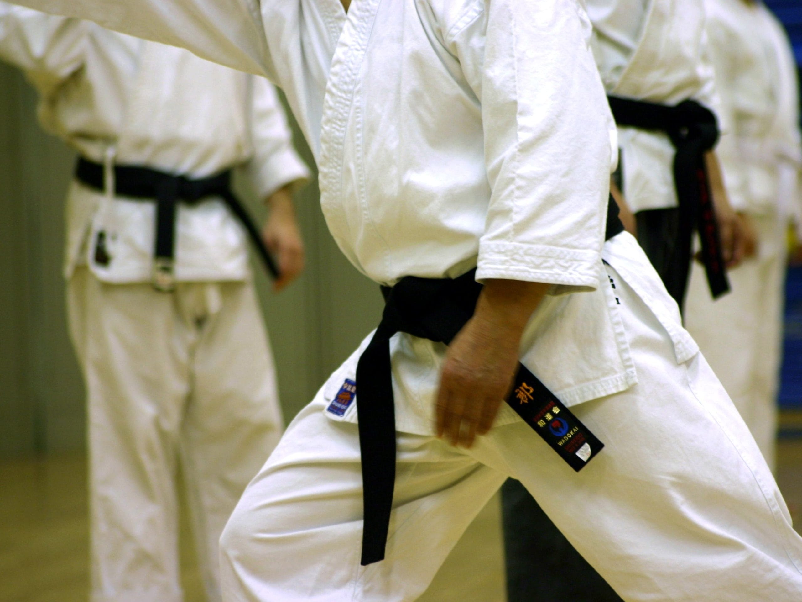 U hali “Čair” Evropsko prvenstvo u šotokan karateu 1 Karate ilustracija foto Flickr Kai Schreiber scaled