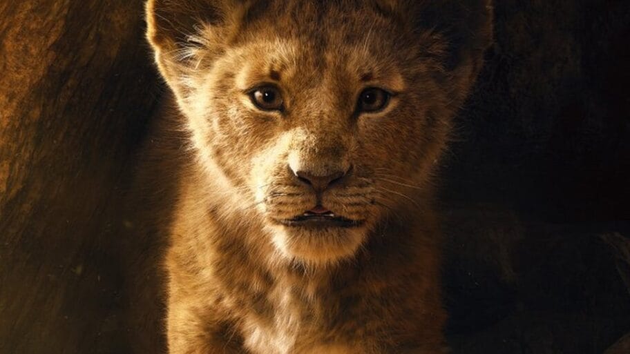 104455676 dspkuvbuuaa5upm