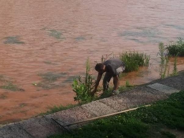 iscenje kosine foto jkpmediana