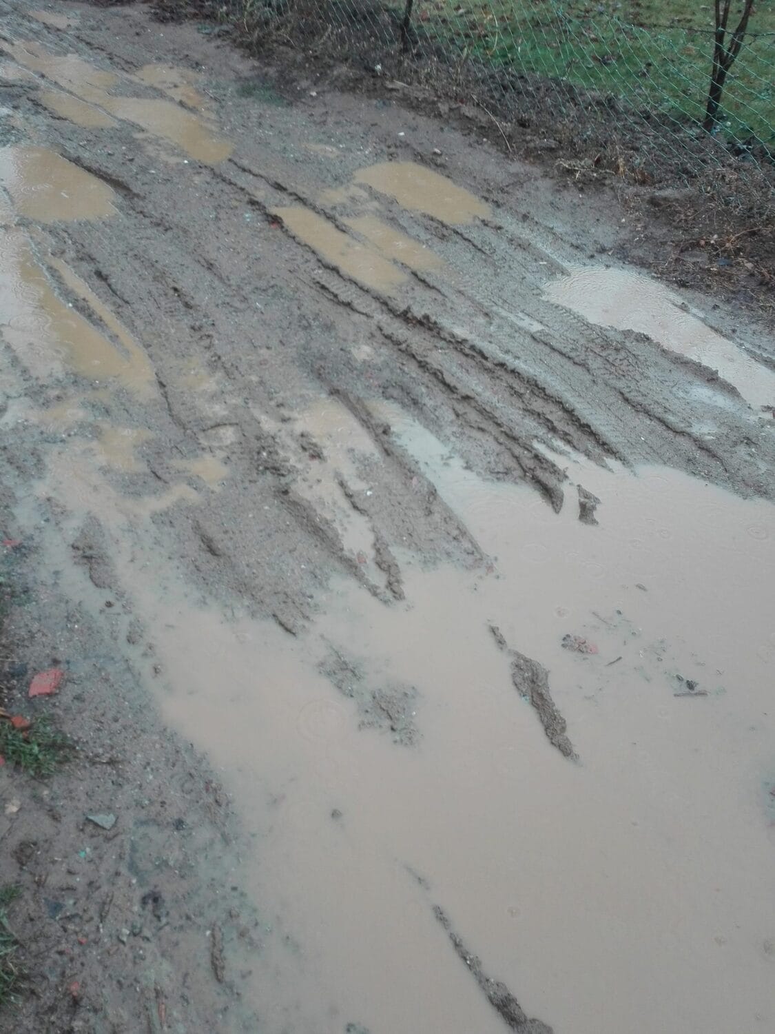 Ulica Kosovke devojke 2 Leskovac novembar 2018 foto citalac scaled