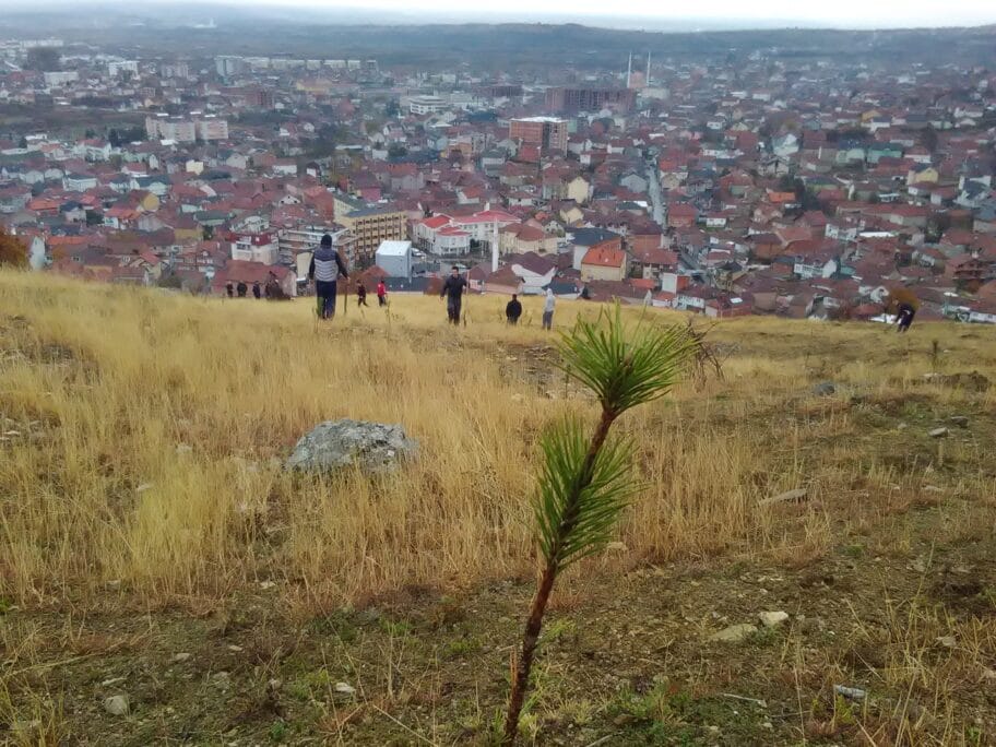 Posumljavanje Srbijasume