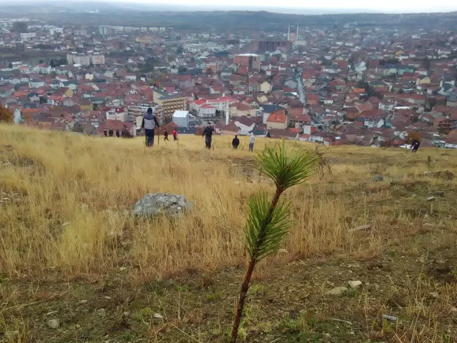 Posumljavanje Srbijasume