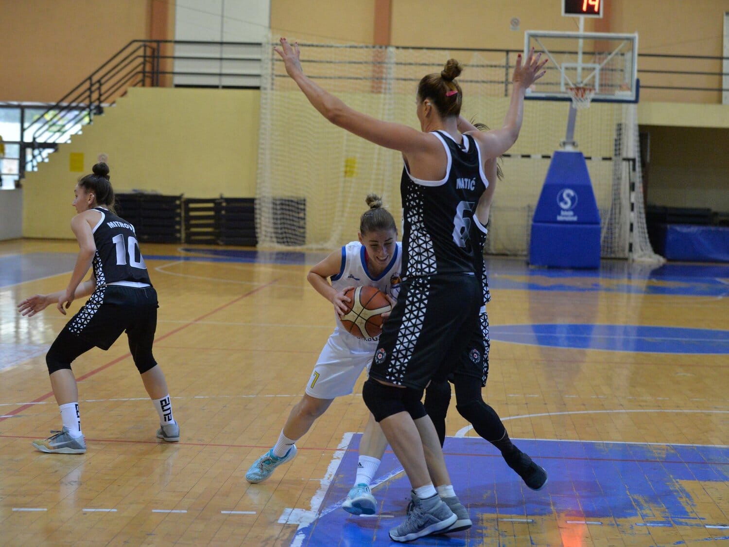 Student: Agresivnošću protiv Novosadske ŽKA 1 Student Partizan 2018 foto Juzne vesti Vanja Keser