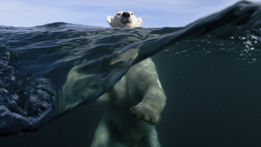 Klimatske promene: Dokle smo stigli i šta pojedinci mogu da urade 6 104552632 gettyimages 483705246