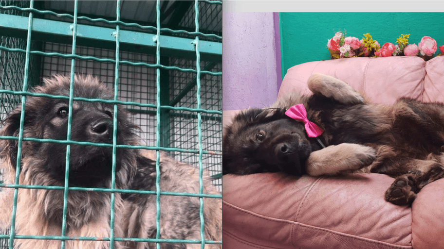 104177314 45421931 692310037806563 6867554493286842368 n