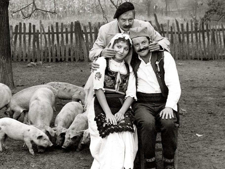 Petrijin venac foto NKC