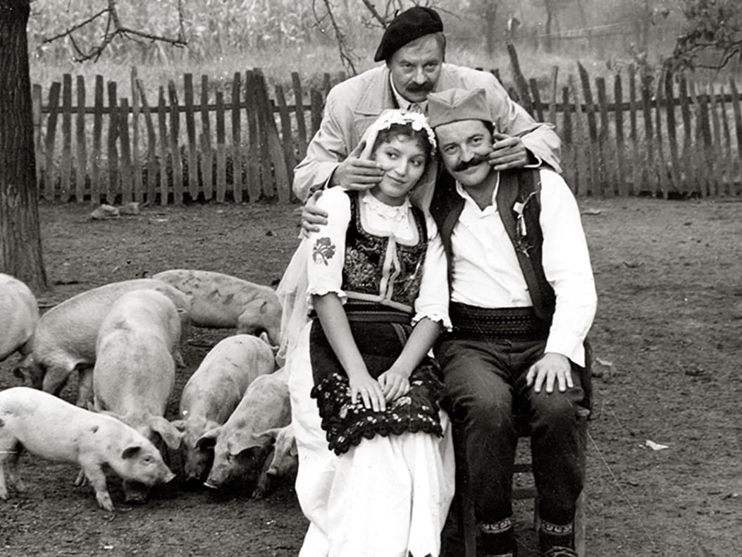 Digitalizovana verzija Petrijinog venca u NKC-u 1 Petrijin venac foto NKC