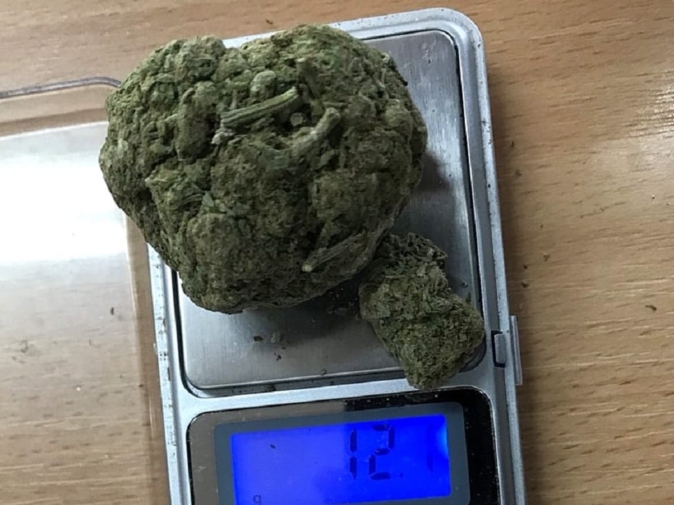 Pokušao da preko granice prenese marihuanu u donjem vešu 1 Otkrivena marihuana foto Uprava carina