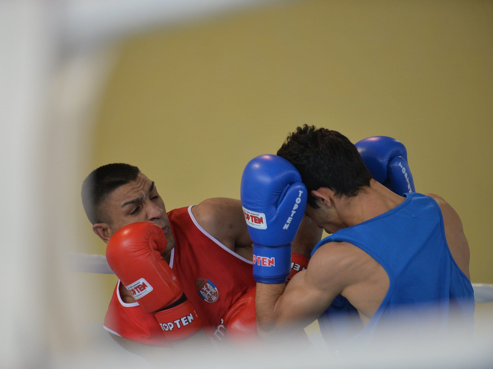 Naissus Radnicki boks Mika Antic foto Juzne vesti Vanja Keser