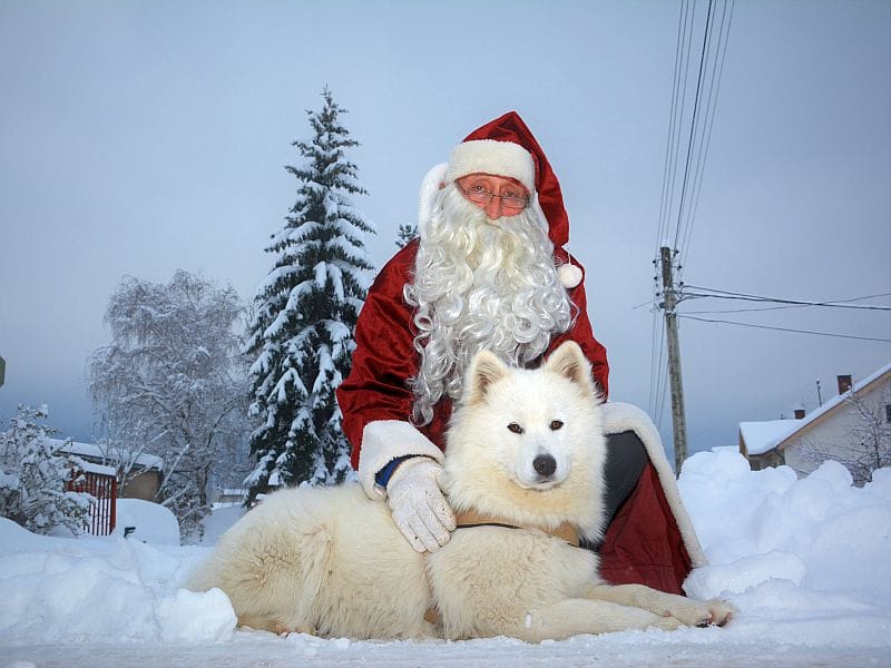 Svrljiški Deda Mraz pola veka uveseljava mališane 10 DEDA MRAZ SVRLJIG FOTO ALEKSANDAR KOSTIC
