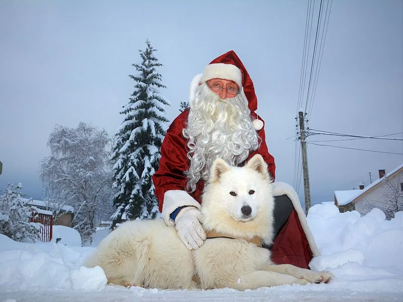 DEDA MRAZ SVRLJIG FOTO ALEKSANDAR KOSTIC