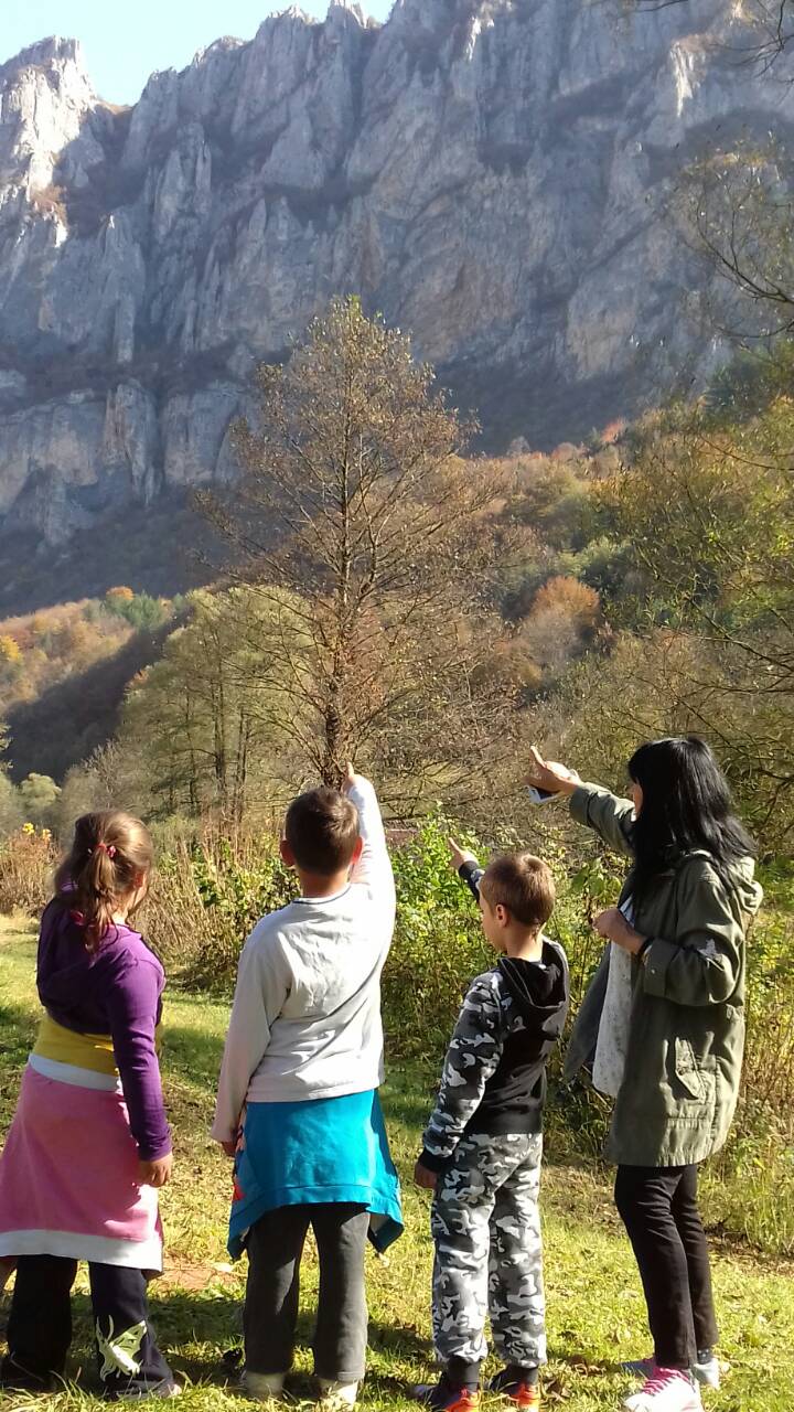 asovi priroda foto A L