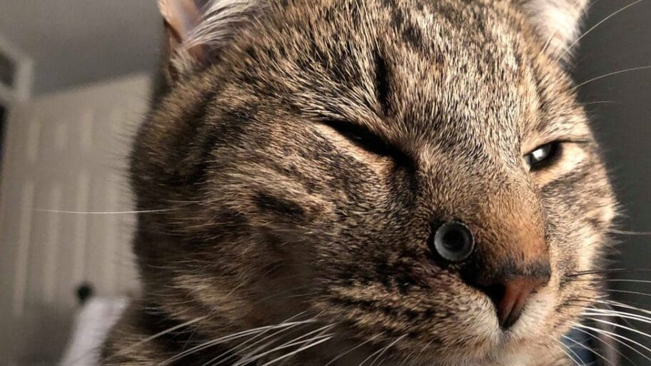 104836664 48364673 2221165428126138 8864662011879882752 n