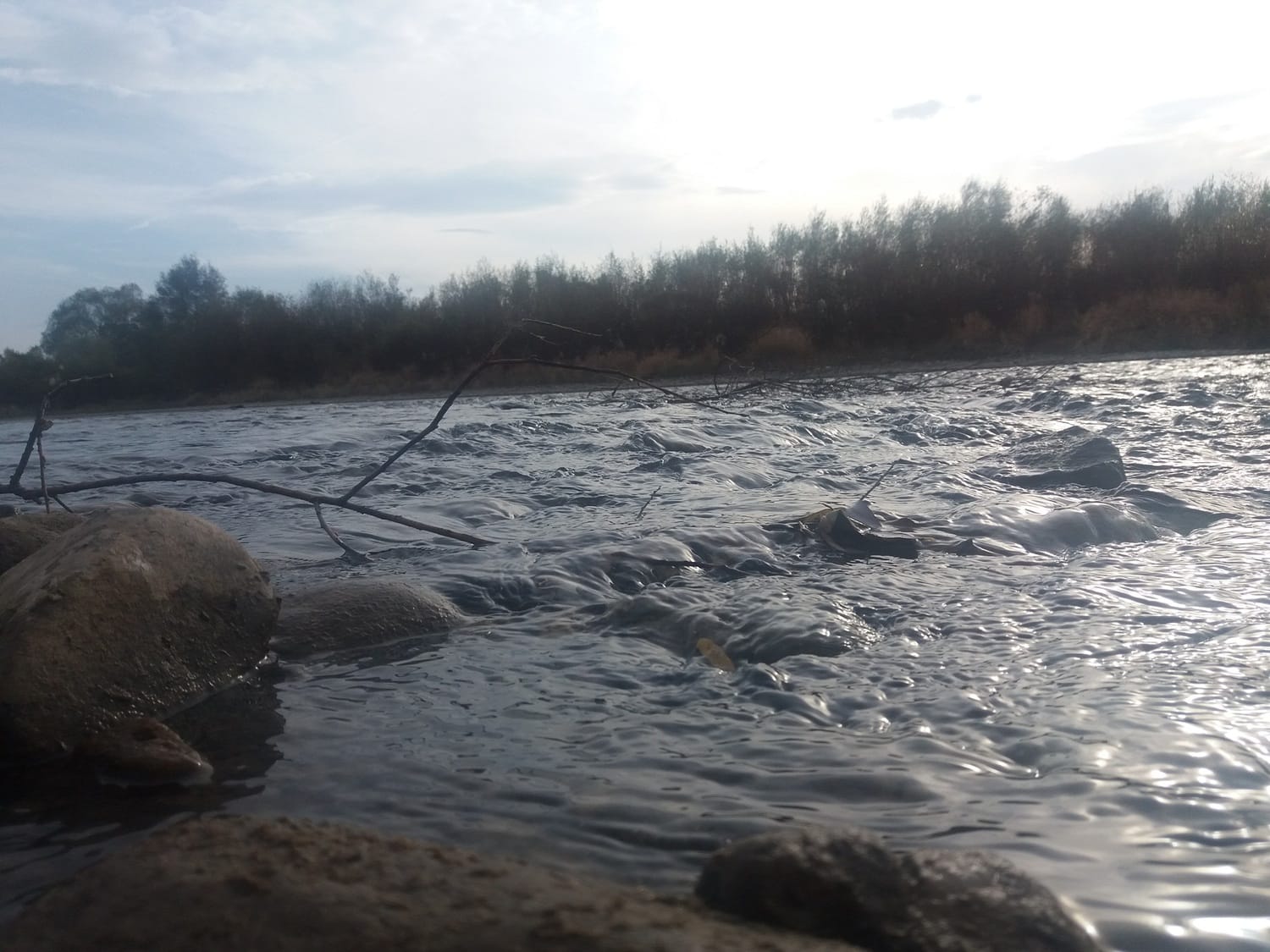 Juzna Morava 3 oktobar 2018 foto Bojana Antic