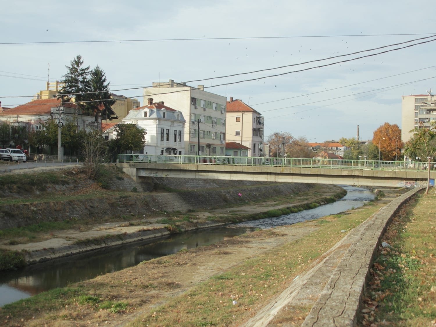 Veternica oktobar 2018 foto Bojana Antic