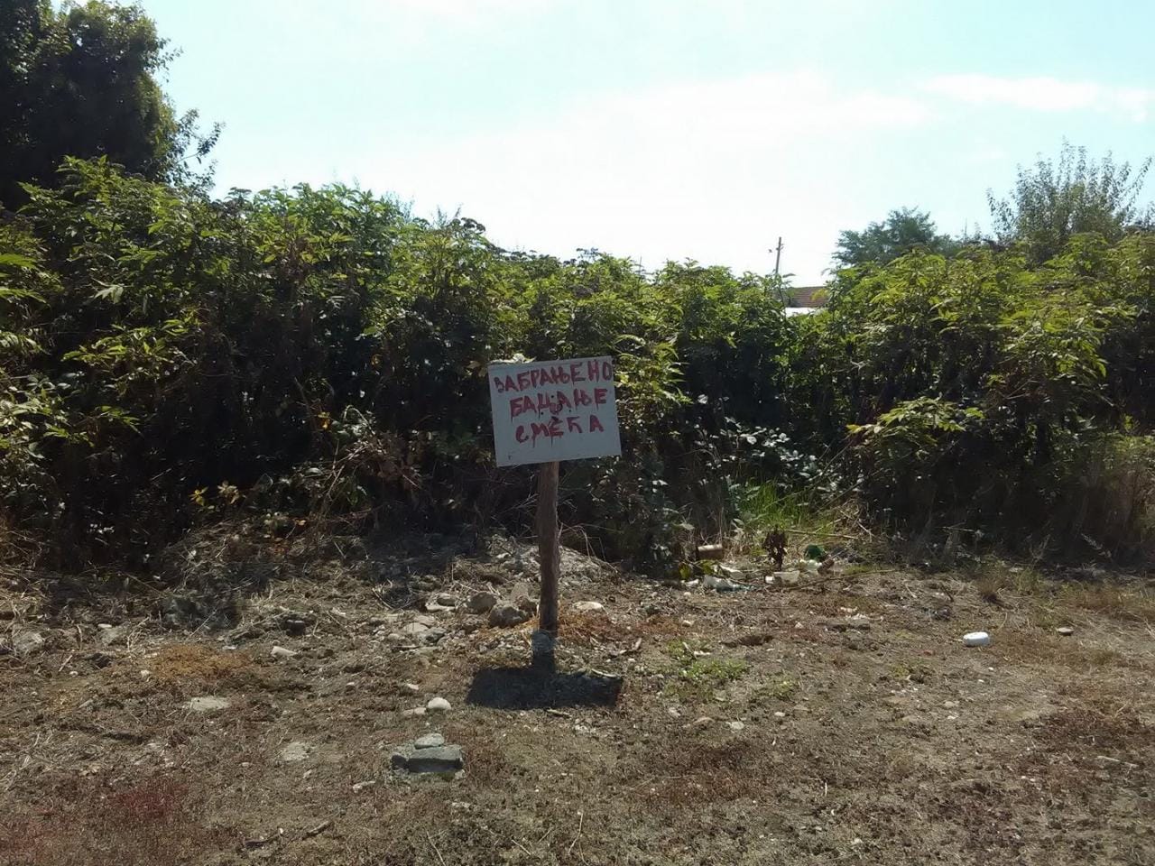 1280x0 Smece Vlasotince avgust 2018 foto A S