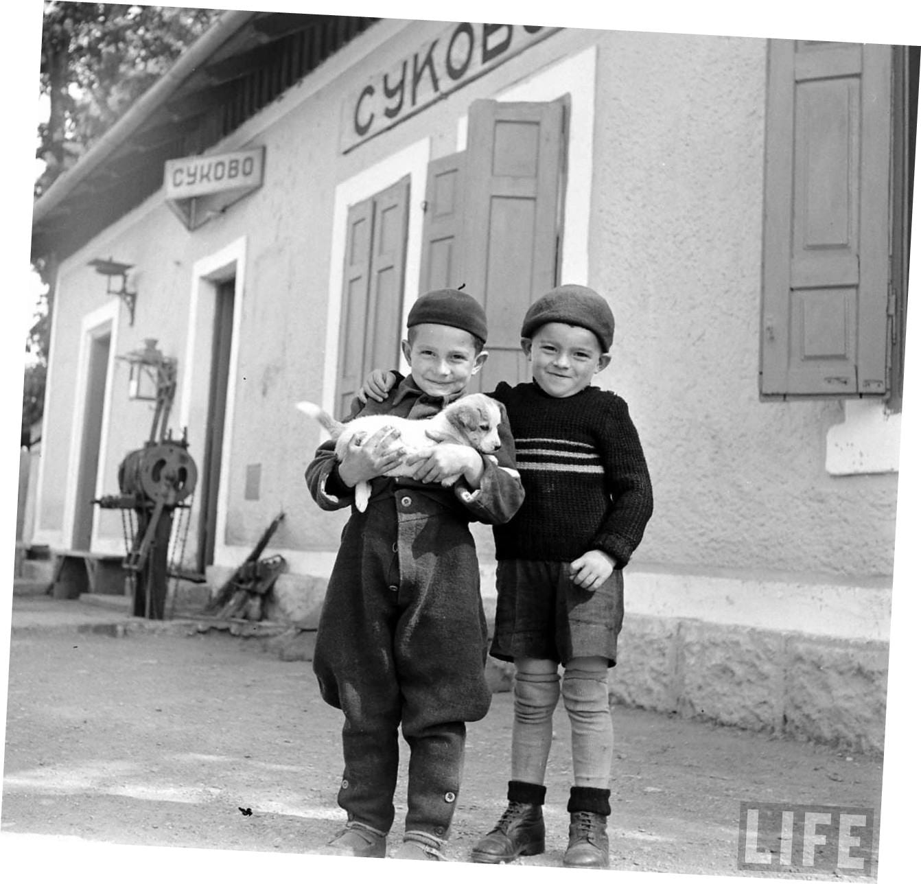 deca sa psom foto printscreen