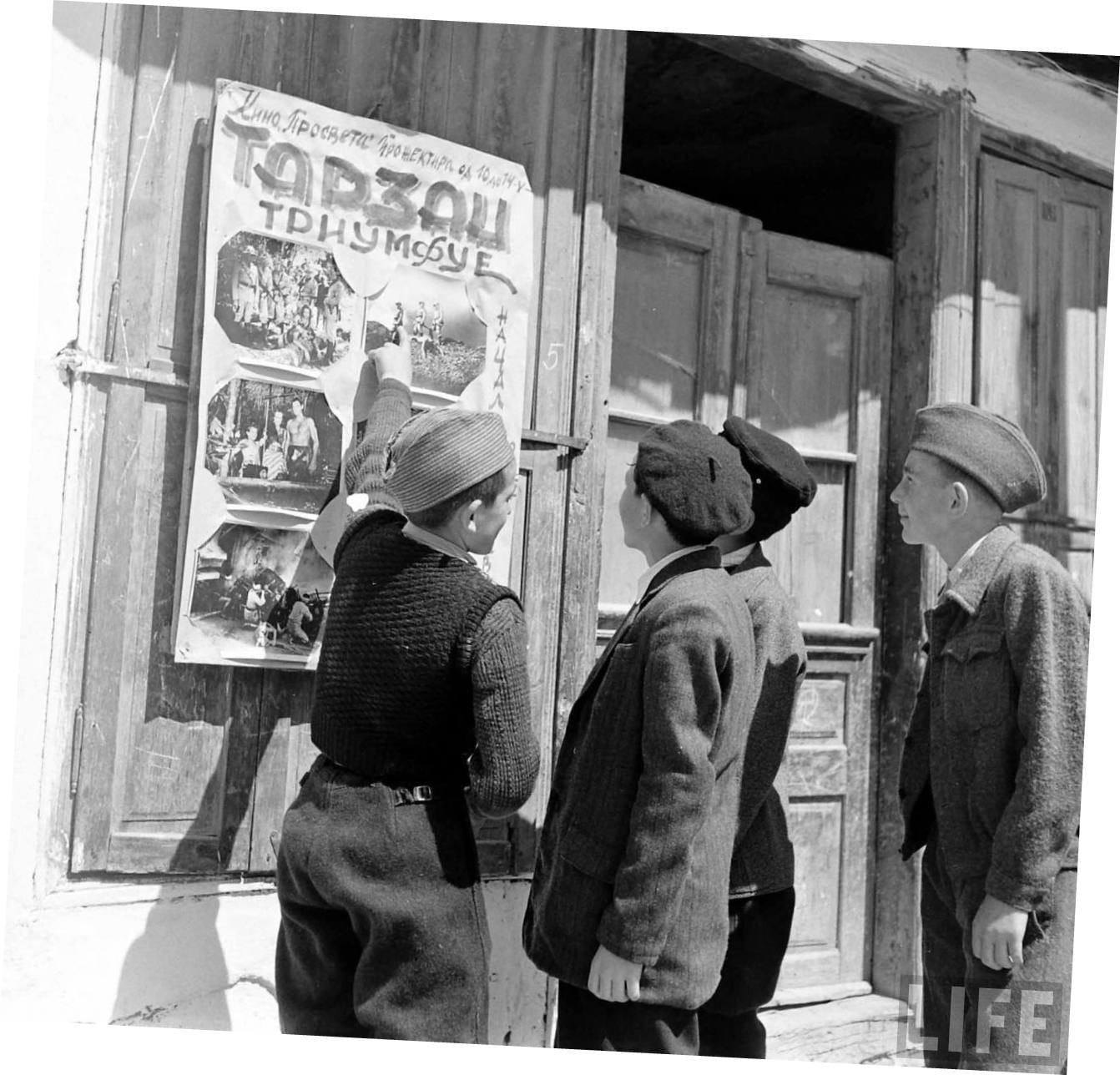 Plakat za Tarzana foto printscreen