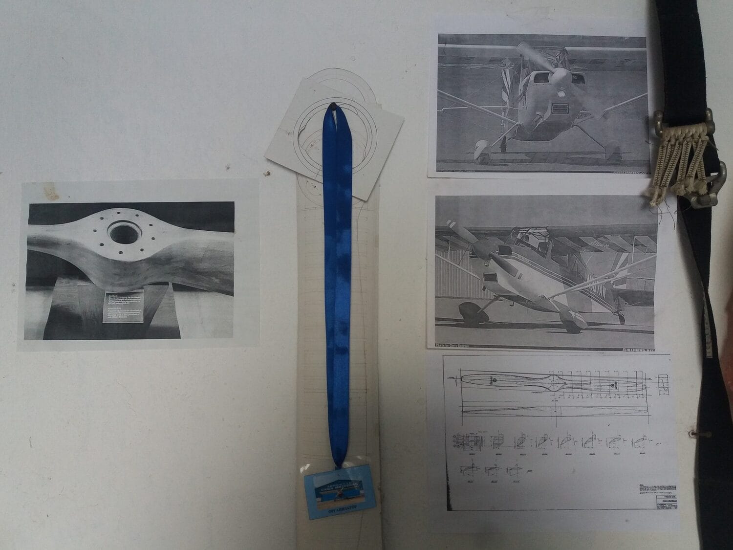 Seme foto Bojana Antic scaled